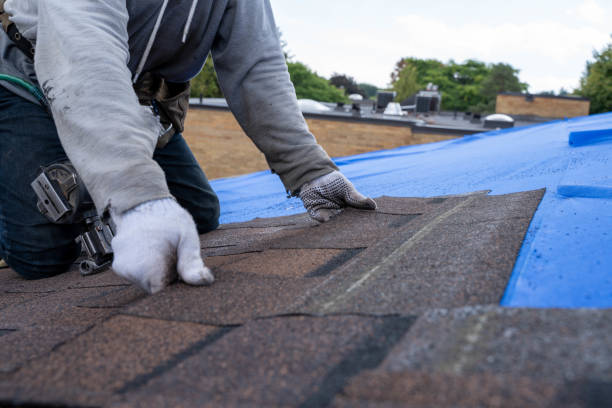 Best Storm Damage Roof Repair  in Ralston, NE