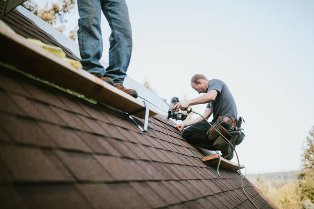 Quick and Trustworthy Emergency Roof Repair Services in Ralston, NE
